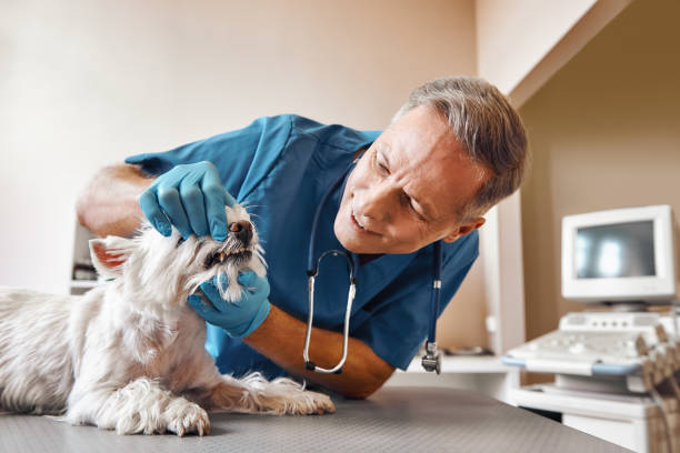 Best Weekend Emergency Dentist in Red Oak, IA