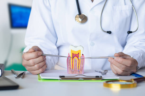 Best Emergency Dental Care for Trauma or Injury in Red Oak, IA